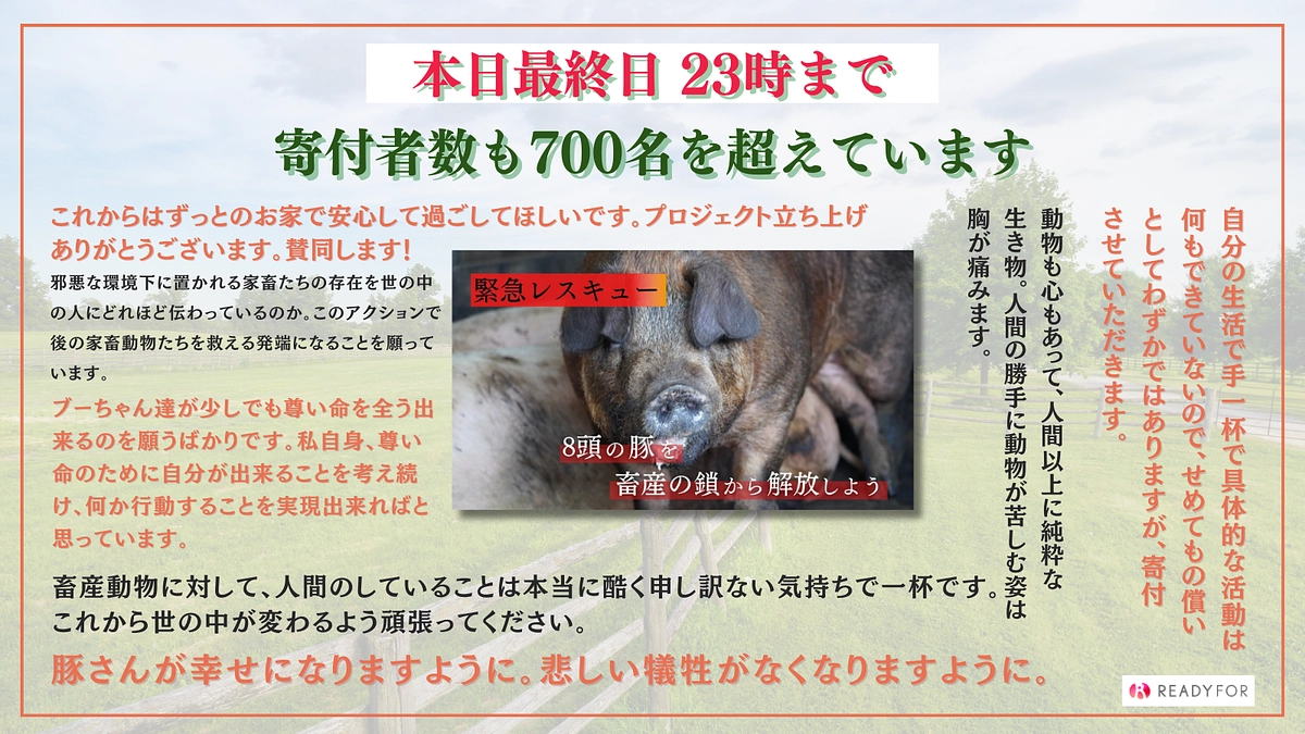 【本日23時まで】たくさんのご寄付、応援ありがとうございます