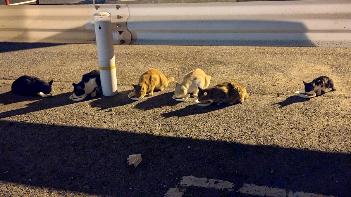 ご支援金をいただきました