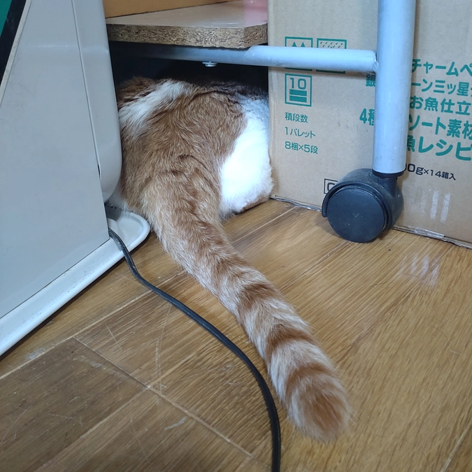 頭　かくして………😁