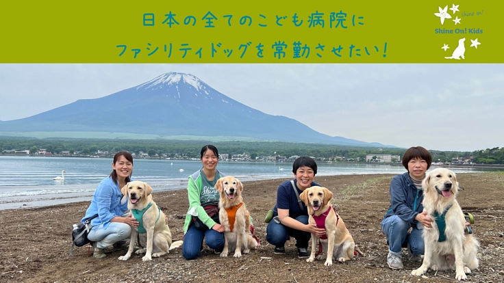 ファシリティドッグ ドリーム☆サポーターを募集中！