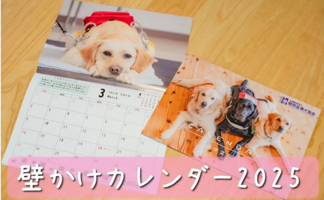 【眼科検診1回分】ご寄付コース