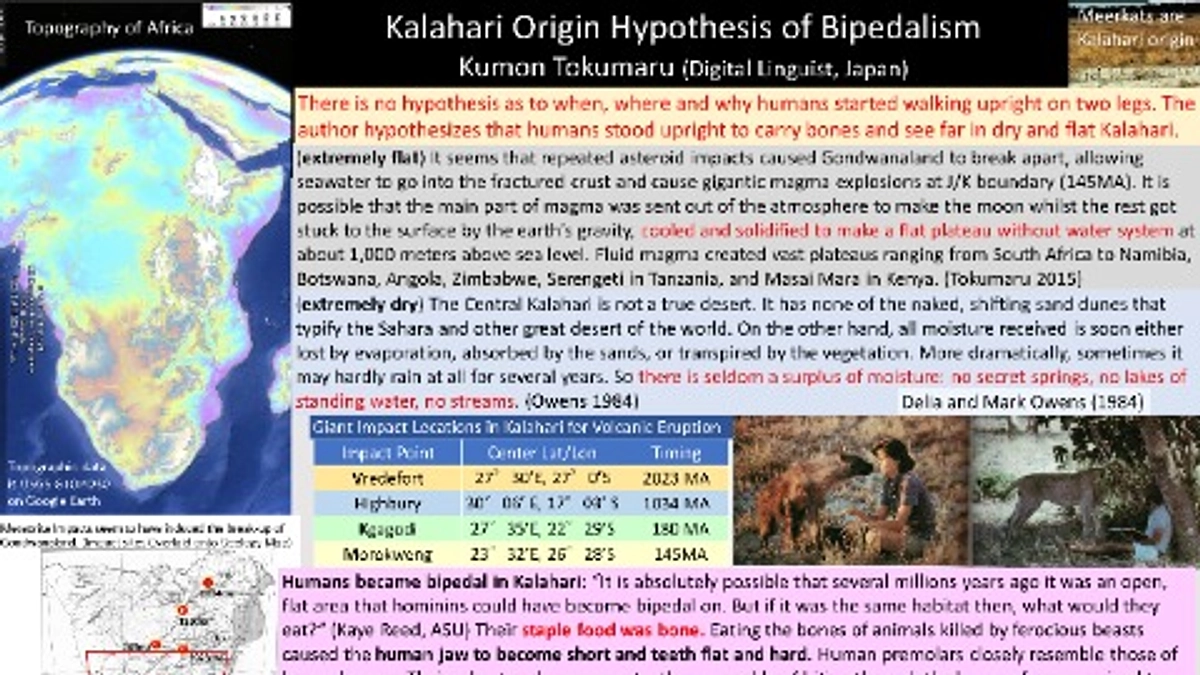 仏教の曼荼羅というのは、学僧が学んだことを整理するために作ったポスターではなかったか