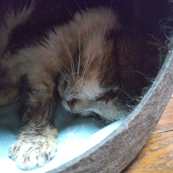 5本目　終了しました💉