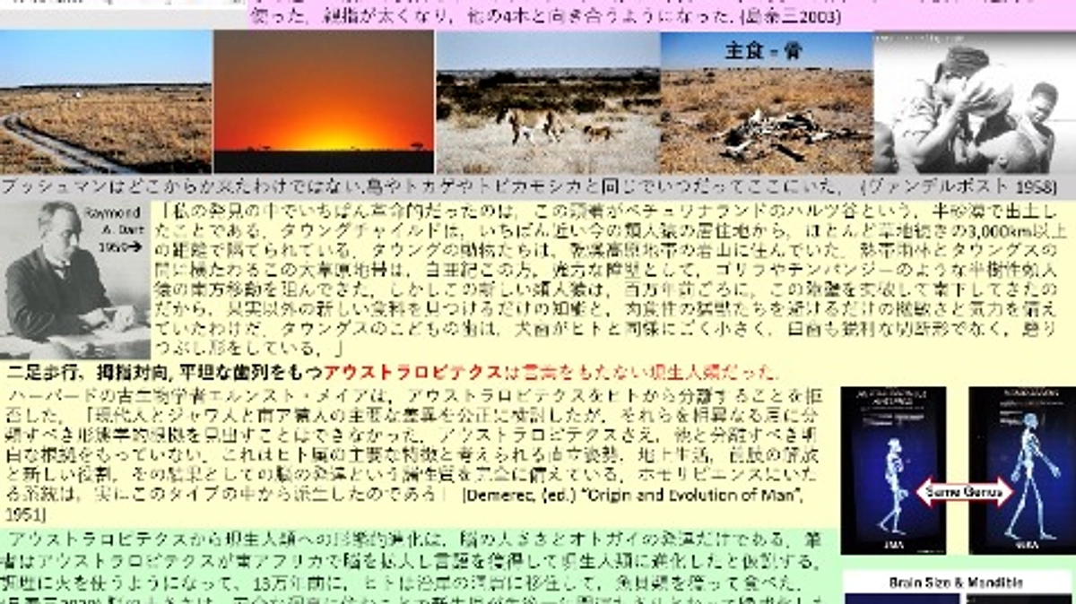 ポスター日本語版を作成しました　直立二足歩行のカラハリ起源説