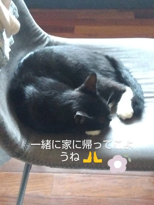 8/19はなちゃん入院しました