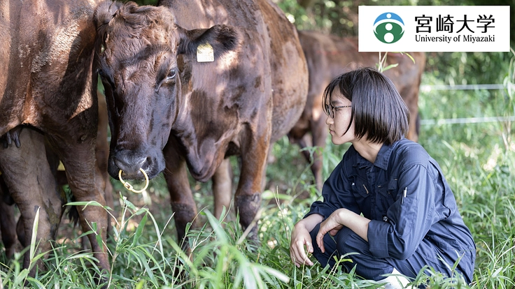 牛の命を、牛伝染性リンパ腫から守りたい。簡便な検査の全国展開へ!