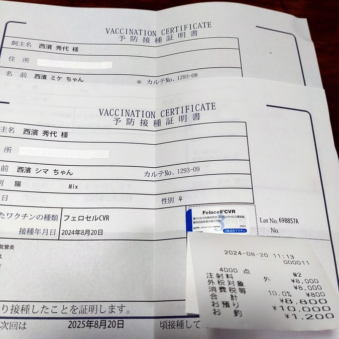 ワクチン接種💉