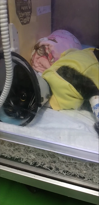 8/21はなちゃんのご報告