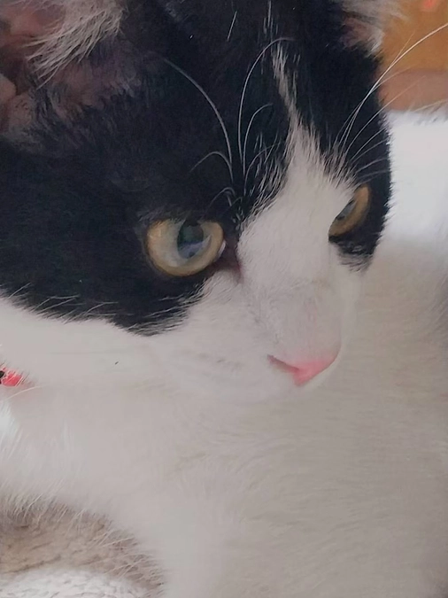 ３歳になりました🎉