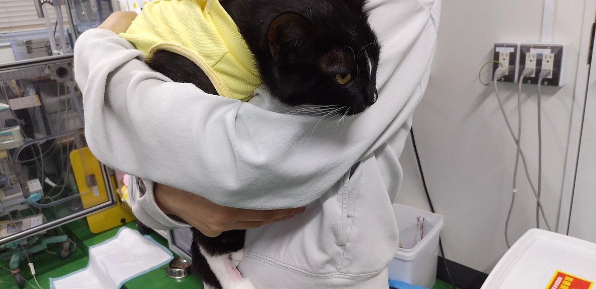 8/22はなちゃんのご報告