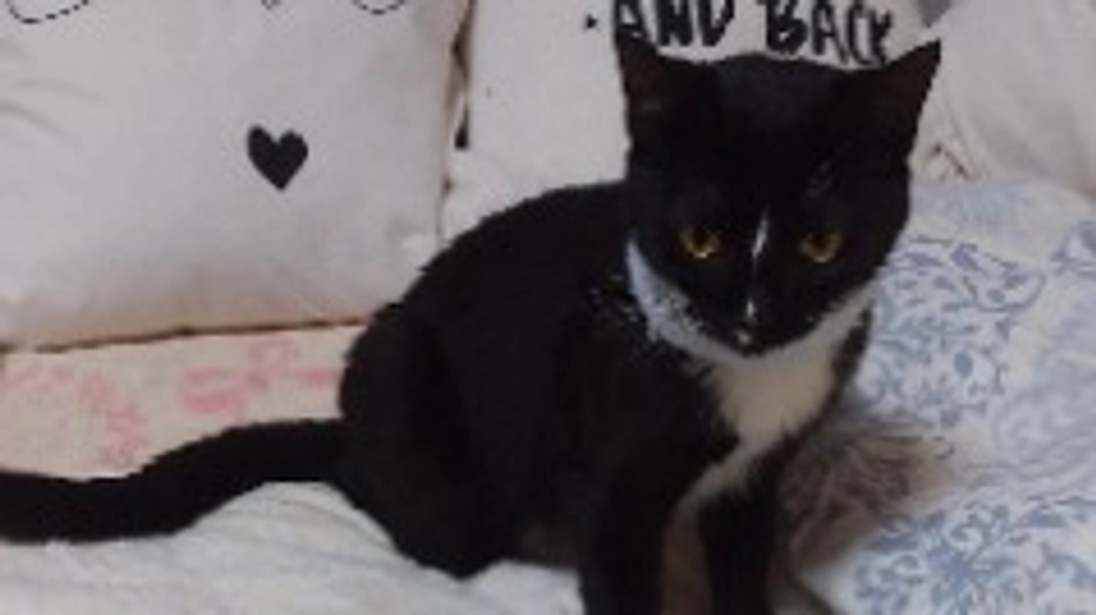 8/10今日のはなちゃん