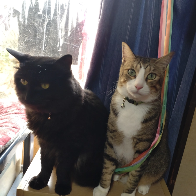 狭くないの⁈😁