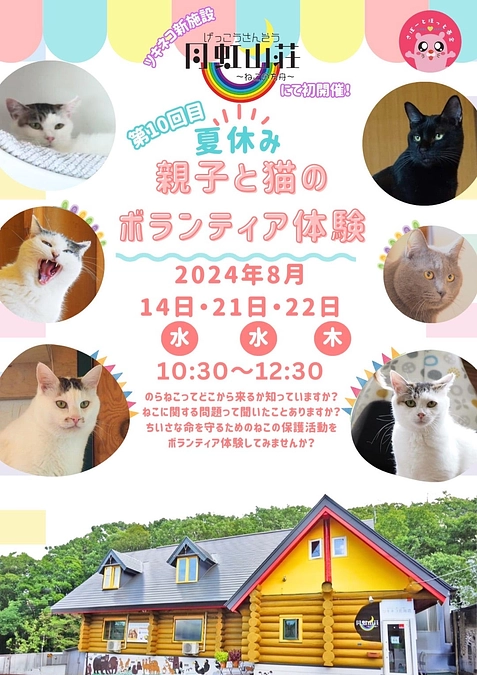 夏休み『親子と猫のボランティア体験』月虹山荘で開催します！