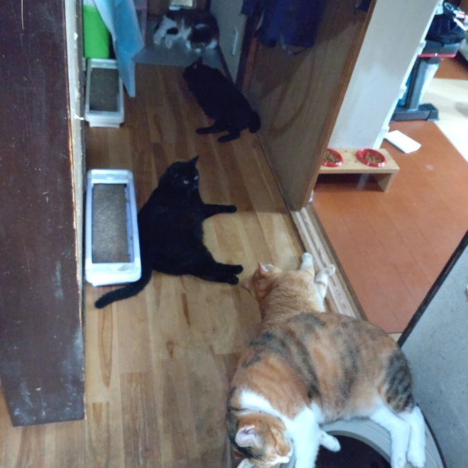 足の踏み場が😅