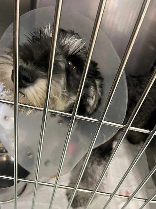 蒼空くん頑張ってます！