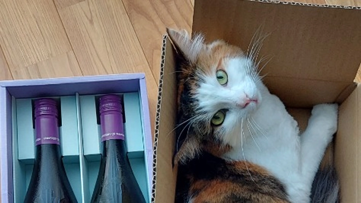 シン・山梨大学ワインの到着連絡が続々と届いております