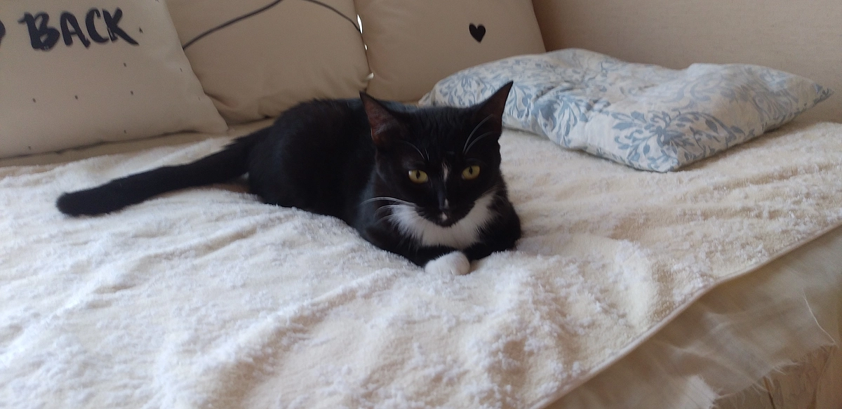 8/13今日のはなちゃん