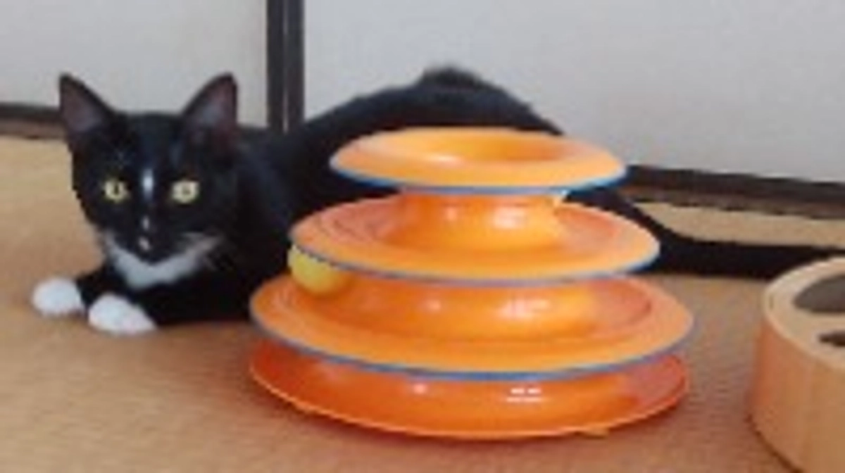 8/14今日のはなちゃん