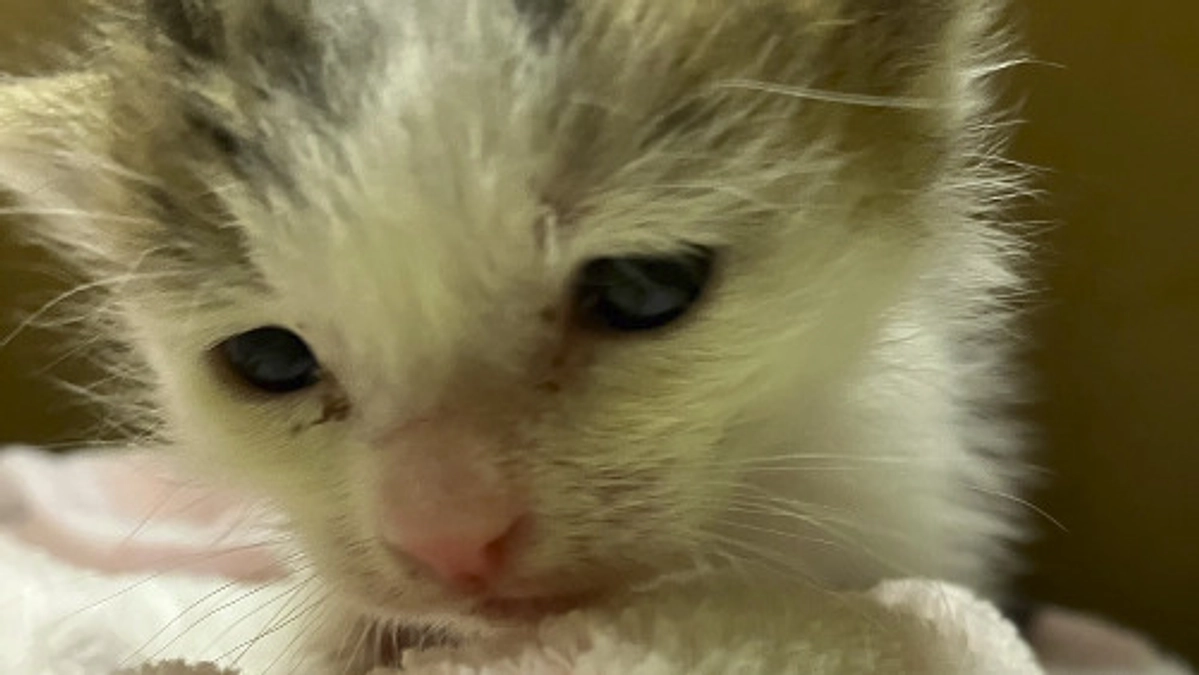 8月の中間報告！