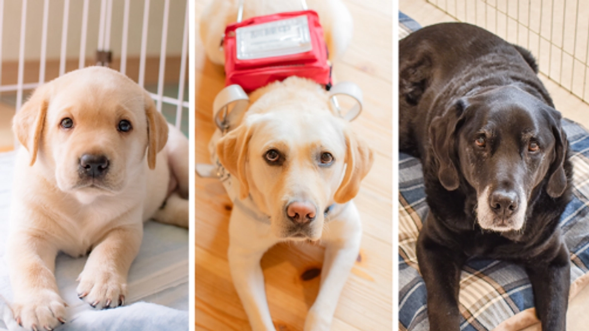 ネクストゴール目前！