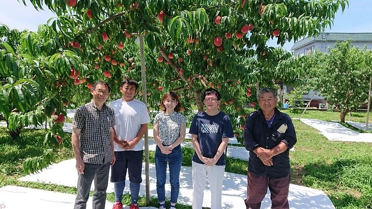 心じゃわめぐ!!たんげめぇ!!! 桃ネクターこさえだよ!!