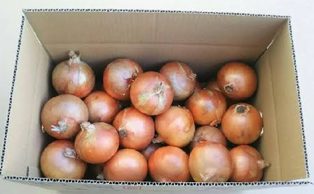 感謝の手紙、淡路島産玉ねぎ10キロ