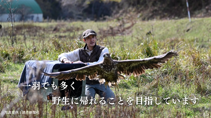 傷ついた希少猛禽類の命を全力で救い、より良い共生社会を目指したい！