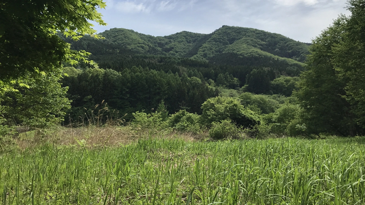 クラウドファンディング中止の理由と経緯