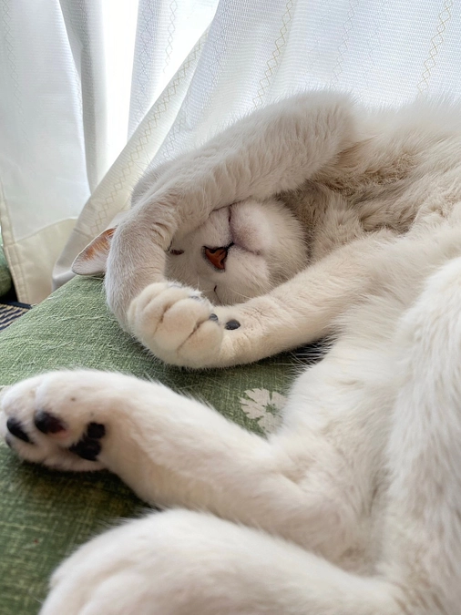 ご支援と応援をして頂いた方々にお礼申し上げます。