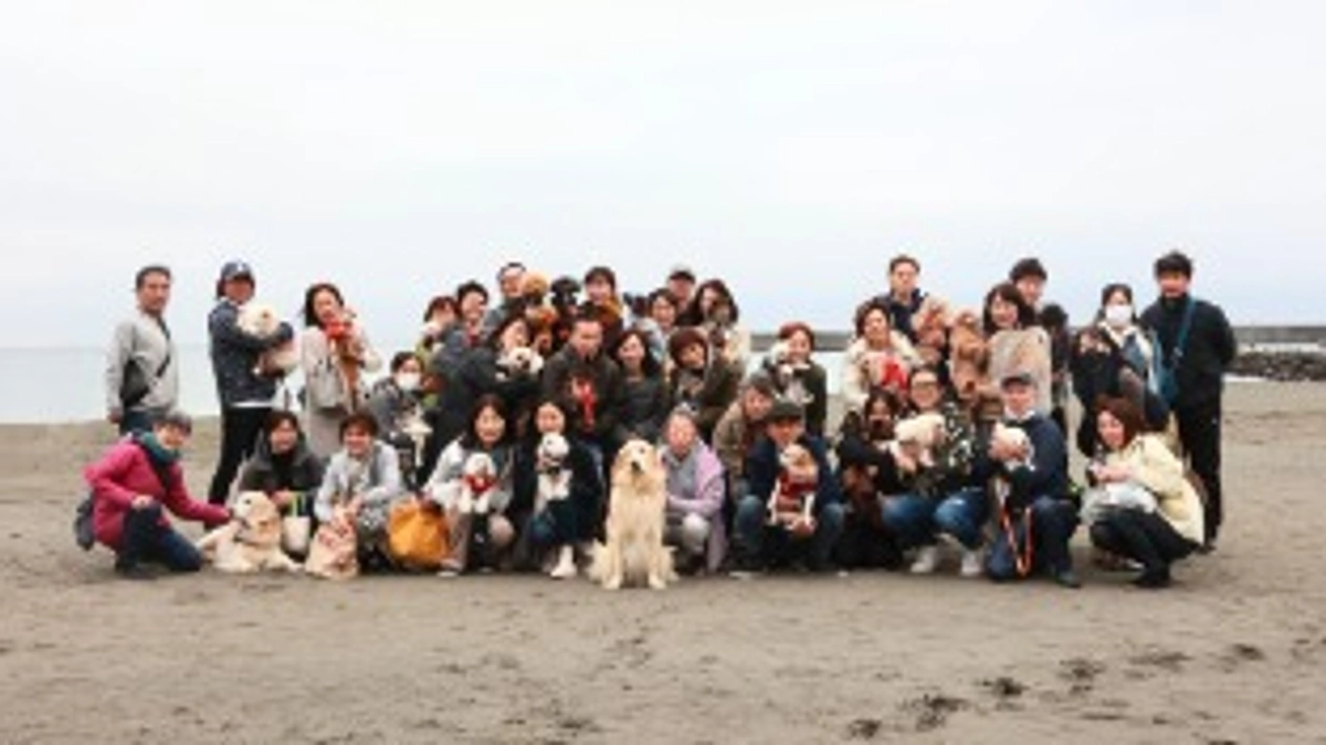 「Qrasippo」にてインタビューが掲載されました！