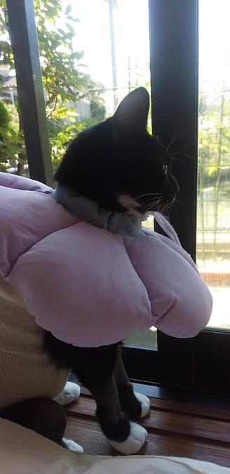 9/1はなちゃんの様子