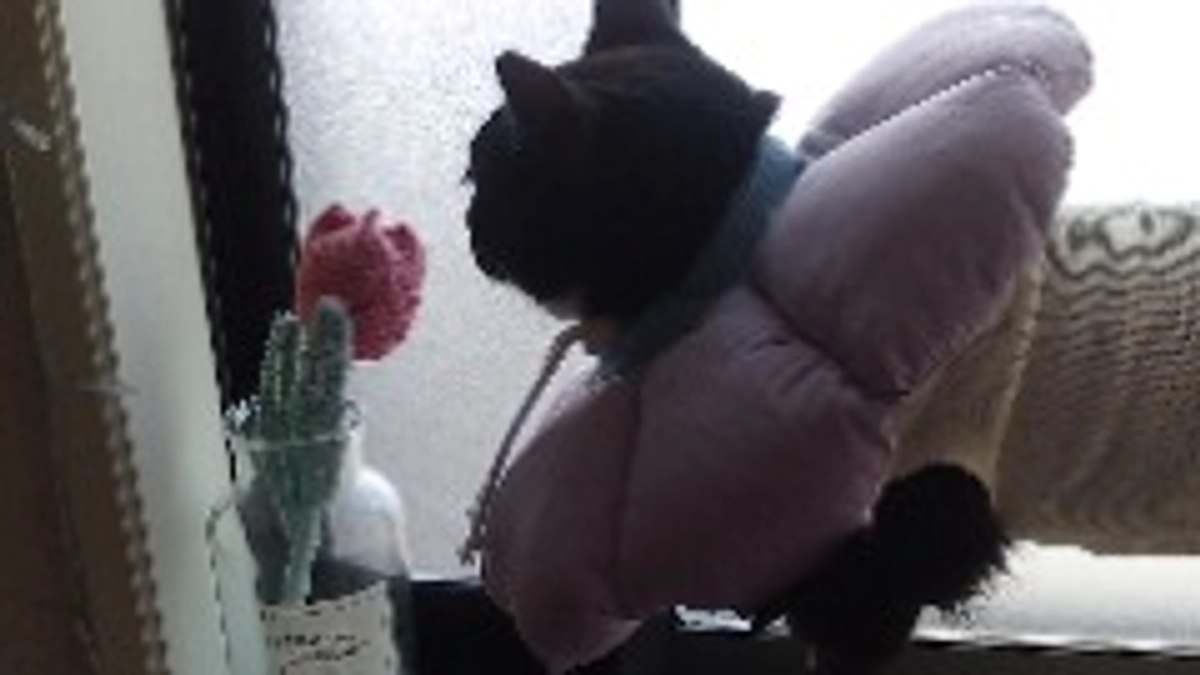 9/2はなちゃんの様子