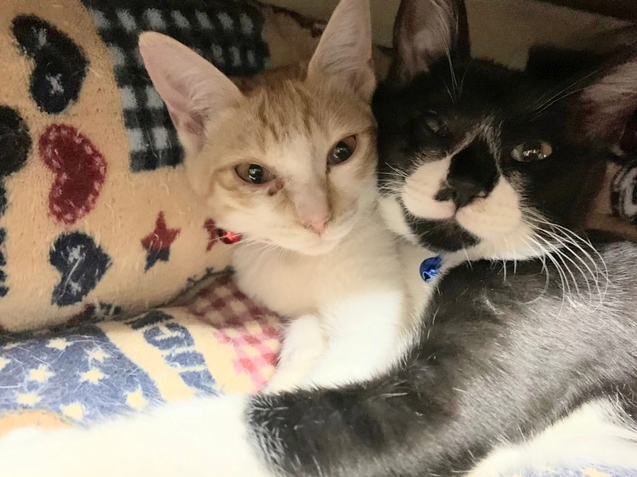 ３歳になりました🎉