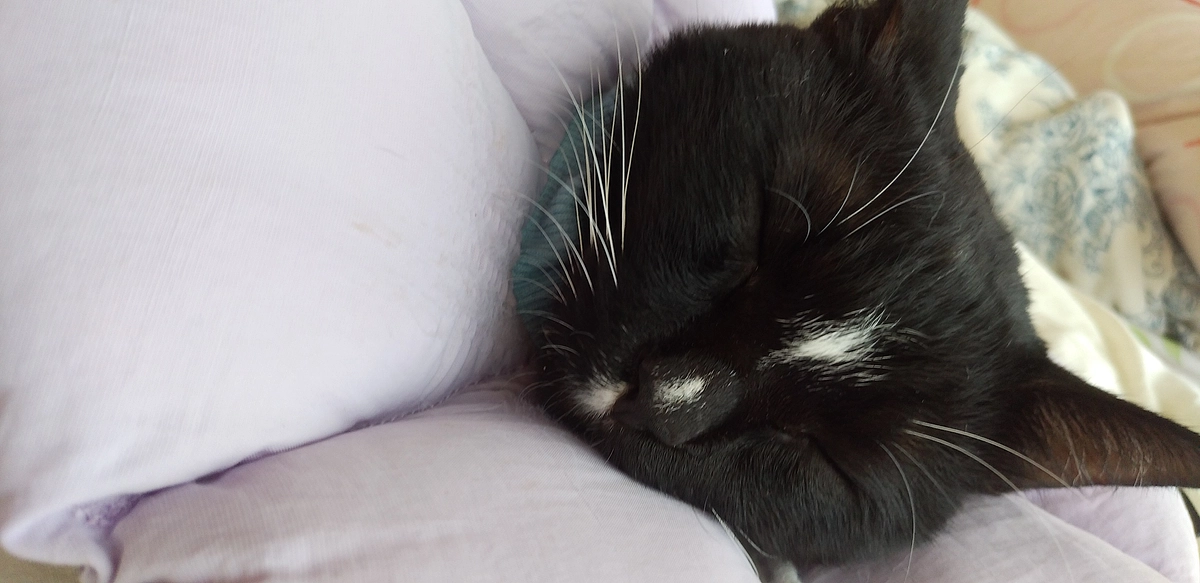 9/3はなちゃんの様子