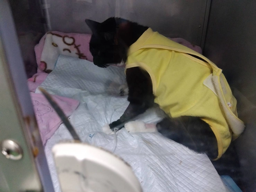 8/23はなちゃん面会