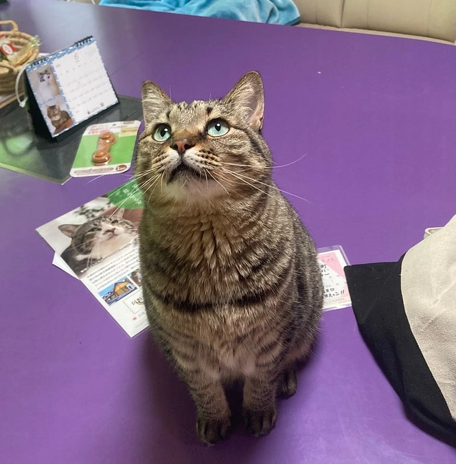 白血病キャリアの《おうか》　家族ができました！