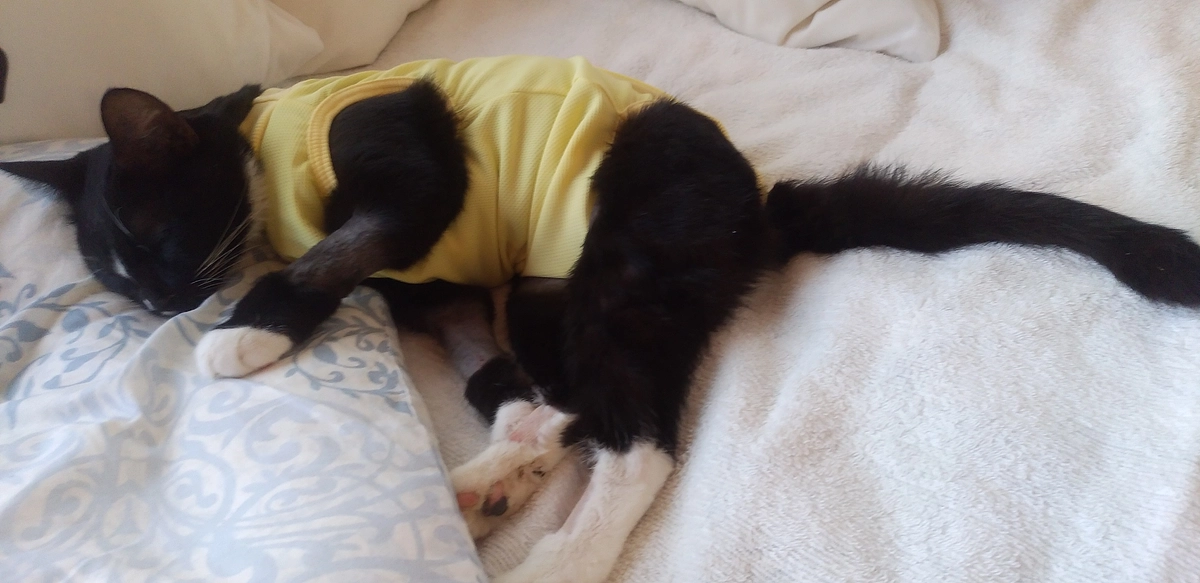 8/24はなちゃんのご報告