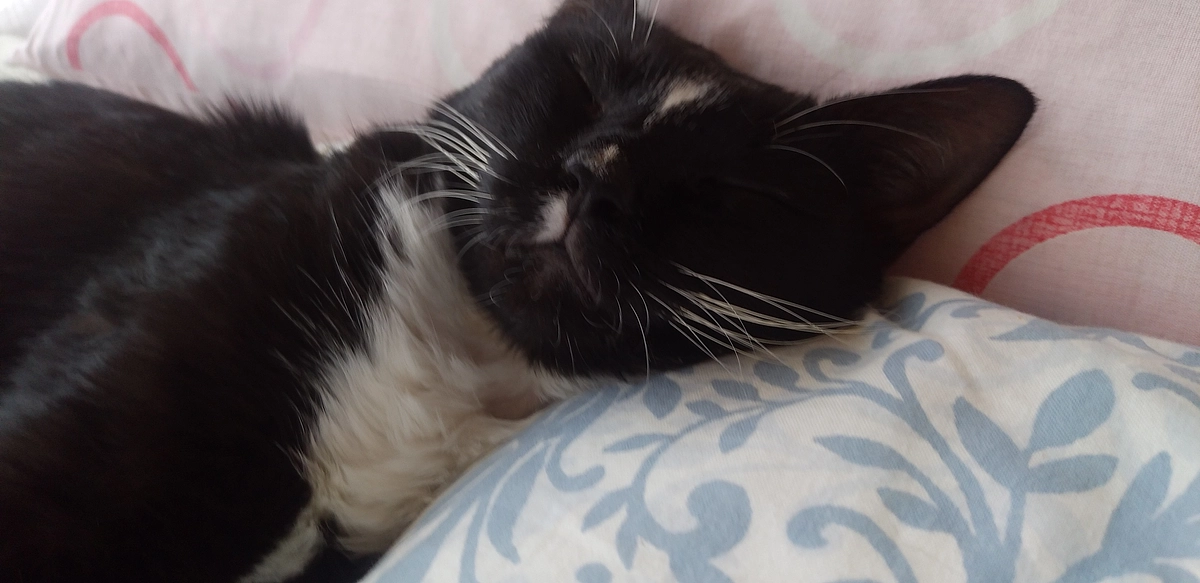 8/25はなちゃんのご報告