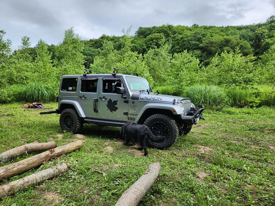 森へつながる　橋の制作に取り掛かっております