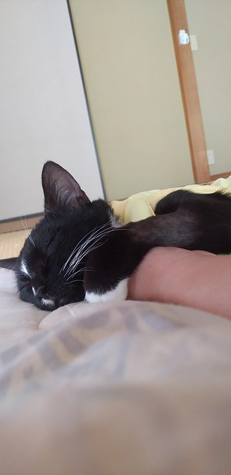 8/27はなちゃんの様子