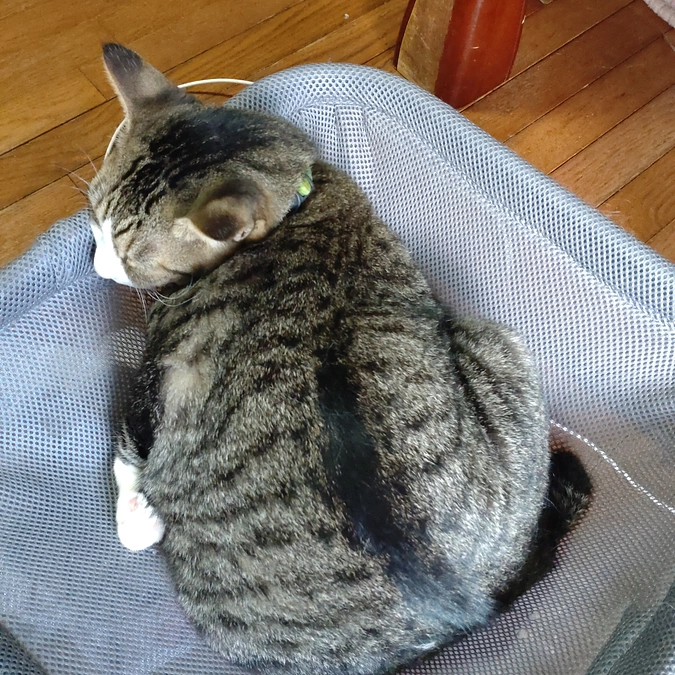 何だか　変⁈😅