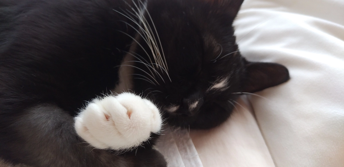 9/10 はなちゃんの様子＆ご報告