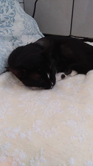 9/11はなちゃんの様子(発作あり)①