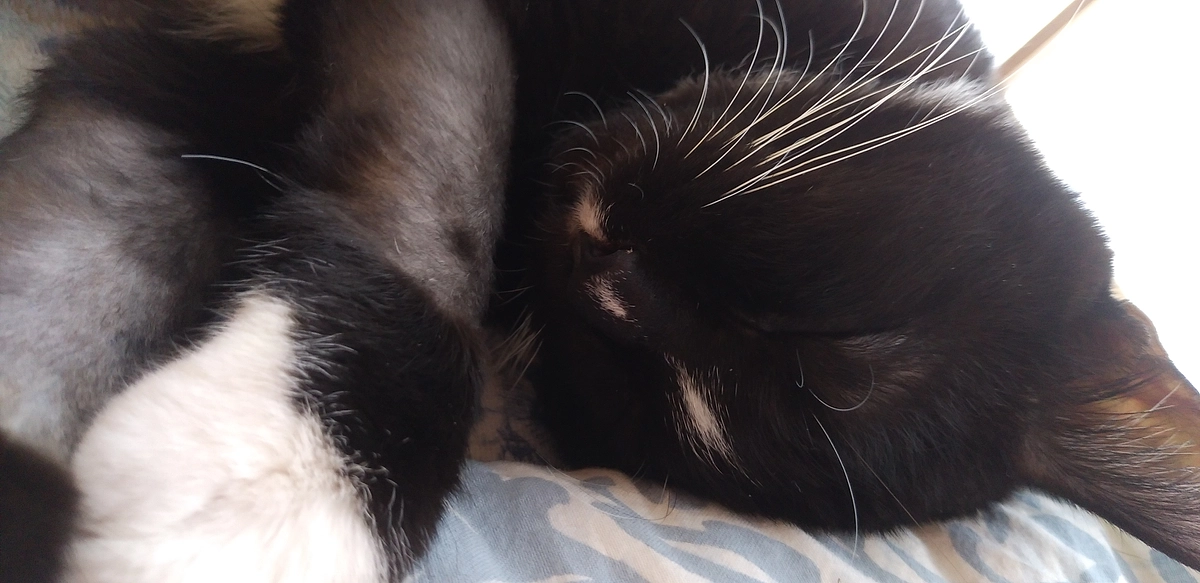 9/11はなちゃんの様子(発作あり)②