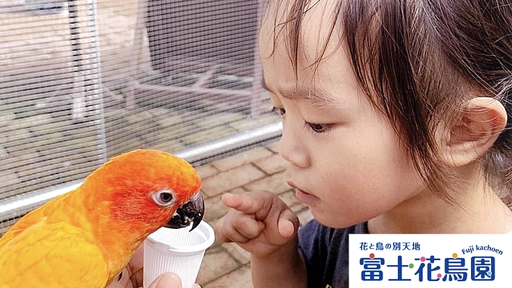 【第二弾】鳥たち、花たち、お客様に、心も身体も温まる空間を。