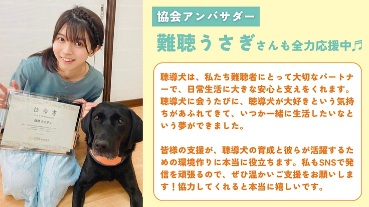 完成目前、ふじみ野市に聴導犬の育成・普及推進施設を建設したい! 7枚目