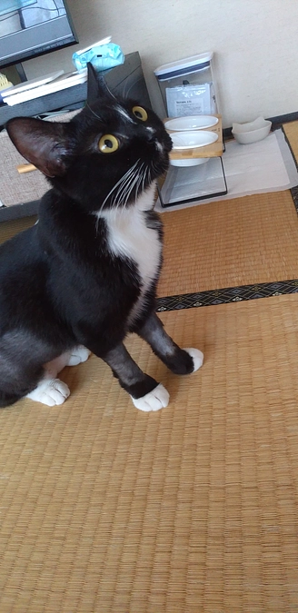 9/12はなちゃんの様子