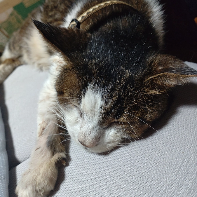 ４本目　終了しました💉