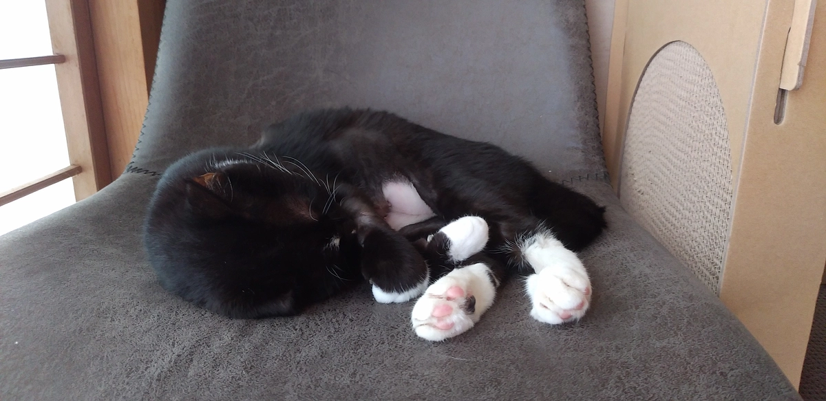 9/13はなちゃんの様子