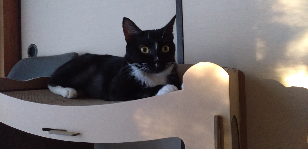 9/14はなちゃんの様子＆途中からポエムに…